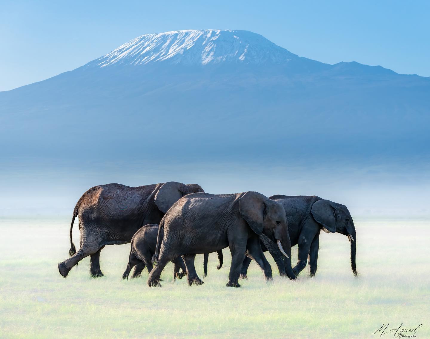 Carol and Davis Tours & Travel